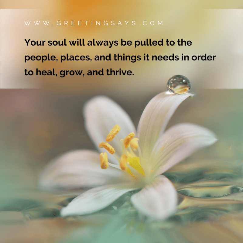 20 Feed My Soul Quotes And Sayings 20 Feed My Soul Quotes And Sayings