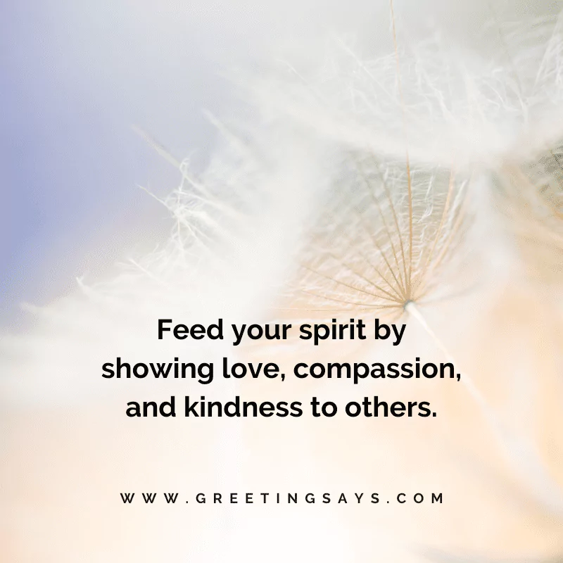 Feed My Soul Quotes and Sayings