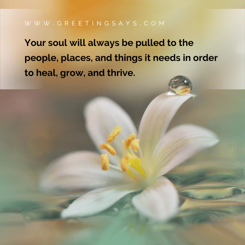 More Feed My Soul Quotes