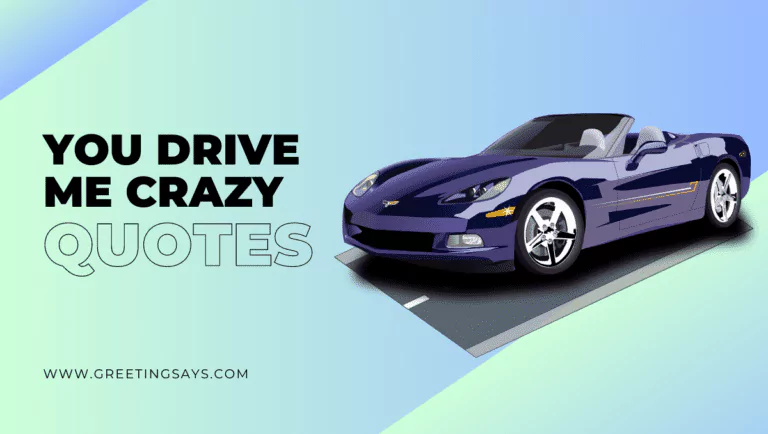 You Drive Me Crazy Quotes